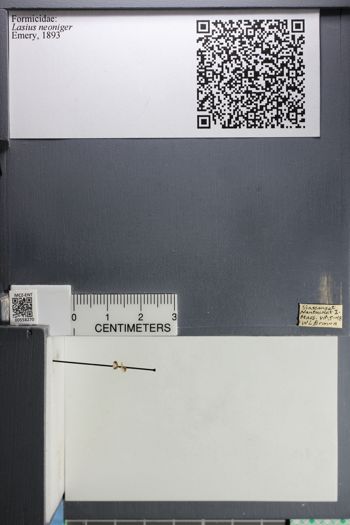 Media type: image;   Entomology 558270